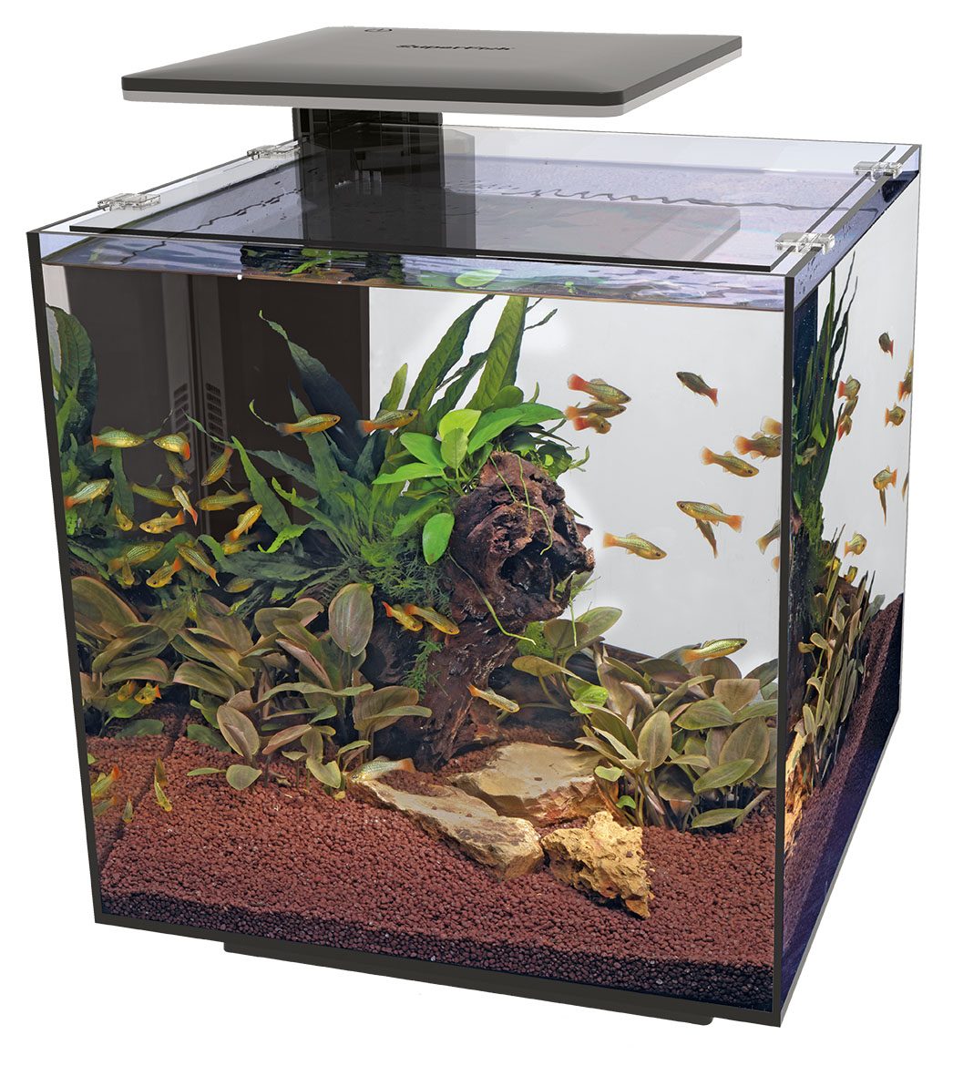 Kit De Remplacement Filtre D'angle SuperFish - Charbon Actif Et Zéolite Pour QubiQ 30/60, Quadro 40/70